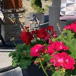 Gielatowka Oda ve Kahvaltı Bialka Tatrzanska